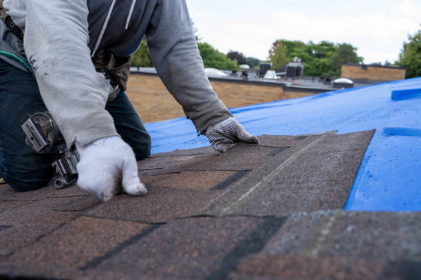 Best Commercial Roofing Services  in Homestead Valley, CA