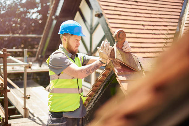 Roof Gutter Cleaning in Homestead Valley, CA